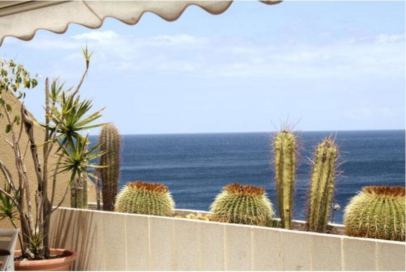 Apartamento Frente Al Mar Radazul Luaran gambar